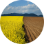 IFCS PraticheAgricole IFCS PraticheAgricole